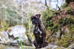IMG_2073-01.jpeg