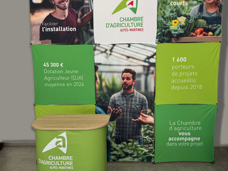 La gamme Xpressions ✨