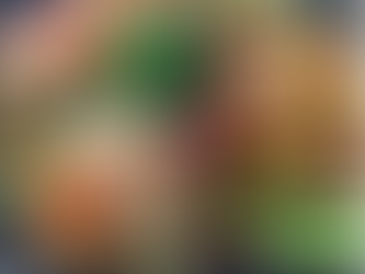 Healthy plates / Assiettes saines