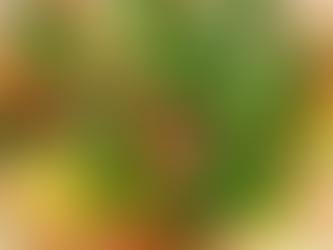 Raviolis aux artichauts tout simplement