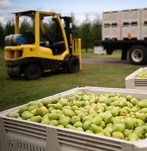 Pear-Orchard-Equipment-400x400.webp