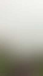 I wrote this for you....part 2