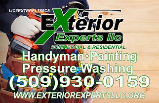 exexpert yardsigns.jpg