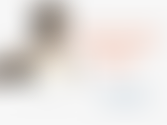 BIOGRAPHIE DE DIANA NYAD -N'ABANDONNEZ JAMAIS !