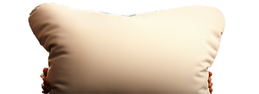 danebert_plain_white_pillow_ff725d5d-cc15-4615-a141-3cb19c698c49_edited_edited.png