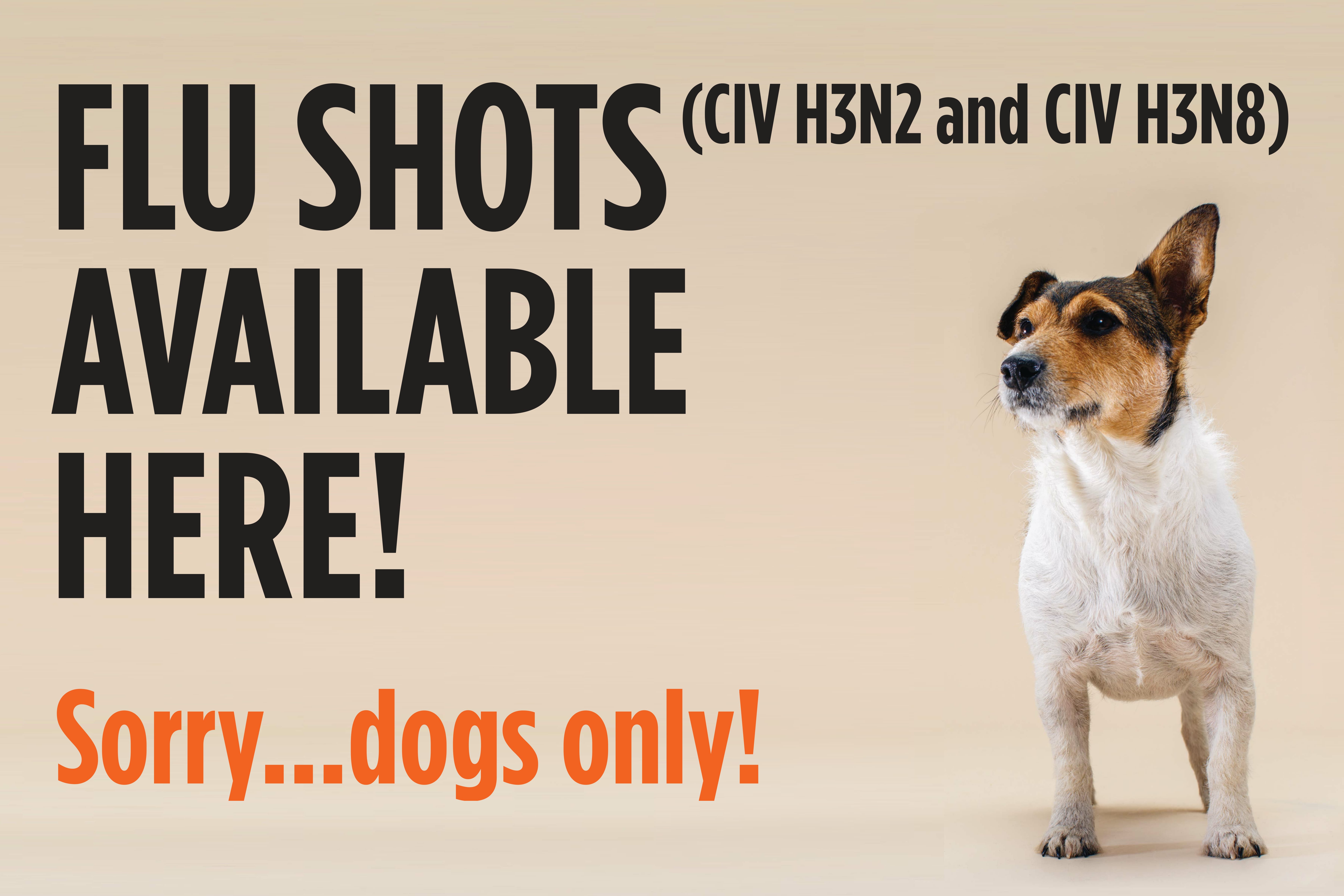 Proheart 12: The Vet'S Warning I Ignored - 3tlvvde