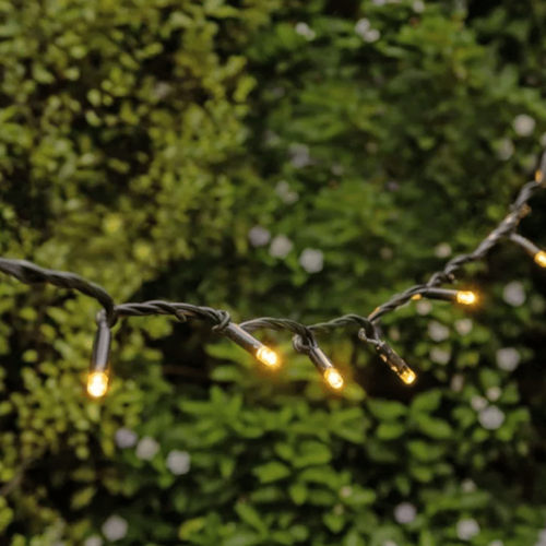 Warm White Fairy Lights (Per Meter) | Longreach Event Hire