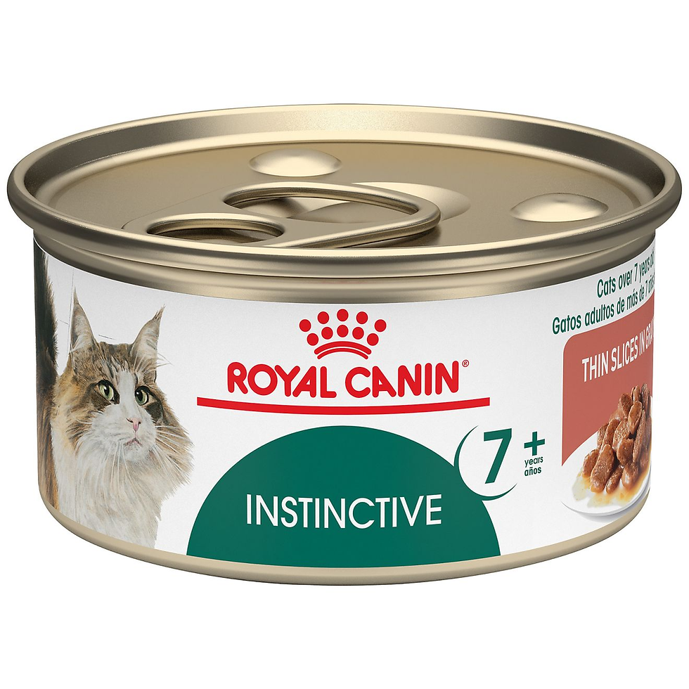 RC FHN Instinctive Adult 12+ Thin Slice In Gravy