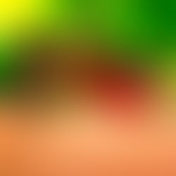 ZANZARA WEST NILE: MUORE UOMO DI 74 ANNI. SCOPRIAMO DI COSA SI TRATTA E COME È POSSIBILE PROTEGGERSI