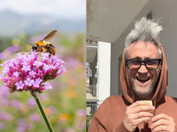 Schettini: “Allergia e starnuti in primavera? Ecco i 3 consigli contro il polline, è una questione di fisica”