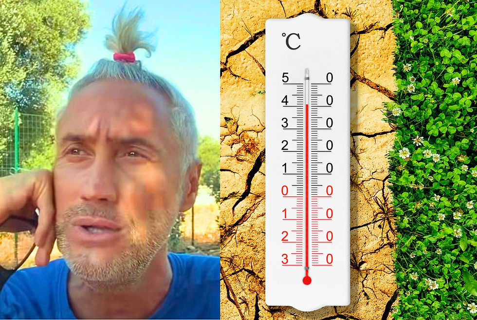 Schettini: Caldo, come possiamo aiutare il pianeta? Dalla geoingegneria alla regola delle 3R, è una questione di fisica