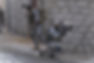 rangers-street-hr.jpg