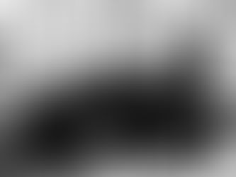 VIP Global 豪華禮車服務