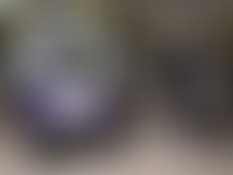 VIP Global 禮遇通關服務