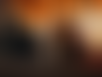 VIP Global 豪華禮車服務