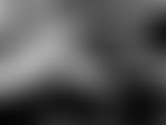 VIP Global 主管專業司機