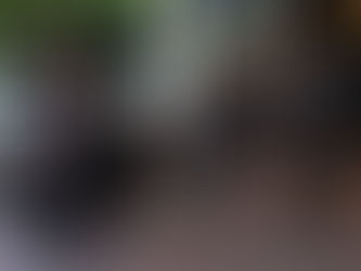 VIP Global 禮遇通關服務