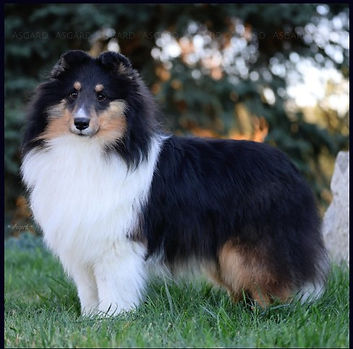 Screenshot 2026-01-14 130504.jpg