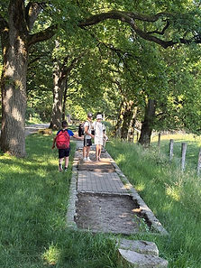 IMG_5329.jpg