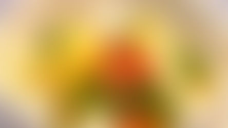 漫步田園蔬菜湯