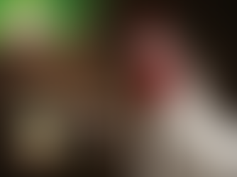 Entretien les Echos.fr