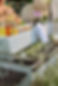 IMG_1514.jpeg