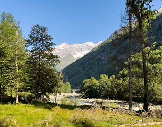 addio-al-nubilato-valsesia-mollia