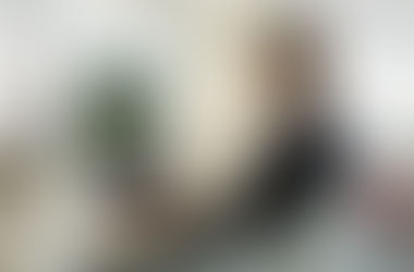 技術・人文知識・国際業務に係る業務量と業務内容