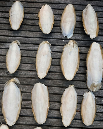 IMG_3010.jpg