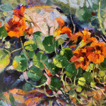Nasturtiums.jpeg