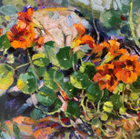 Nasturtiums.jpeg