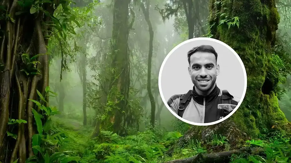 josé morales geólogo el hierro
