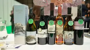 El Hierro destaca en el XXV Salón de los Mejores Vinos de España con su mayor representación insular