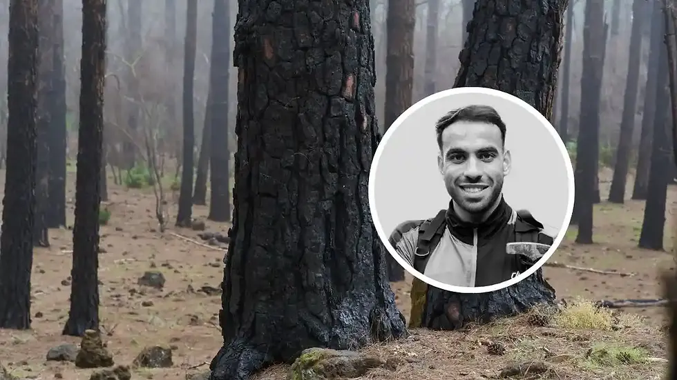 Incendios forestales, más allá de las llamas