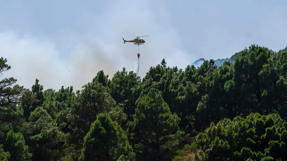 Declarados dos conatos de incendio en la masa forestal de El Hierro en el municipio de El Pinar