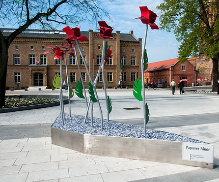 Papaver.Moon.Prenzlau.2013.jpg