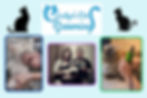 Cats being groomed in various stages; one washed, another shaved. Logo reads “Carolyn’s Cat Grooming.” Blue background with black cat silhouettes.