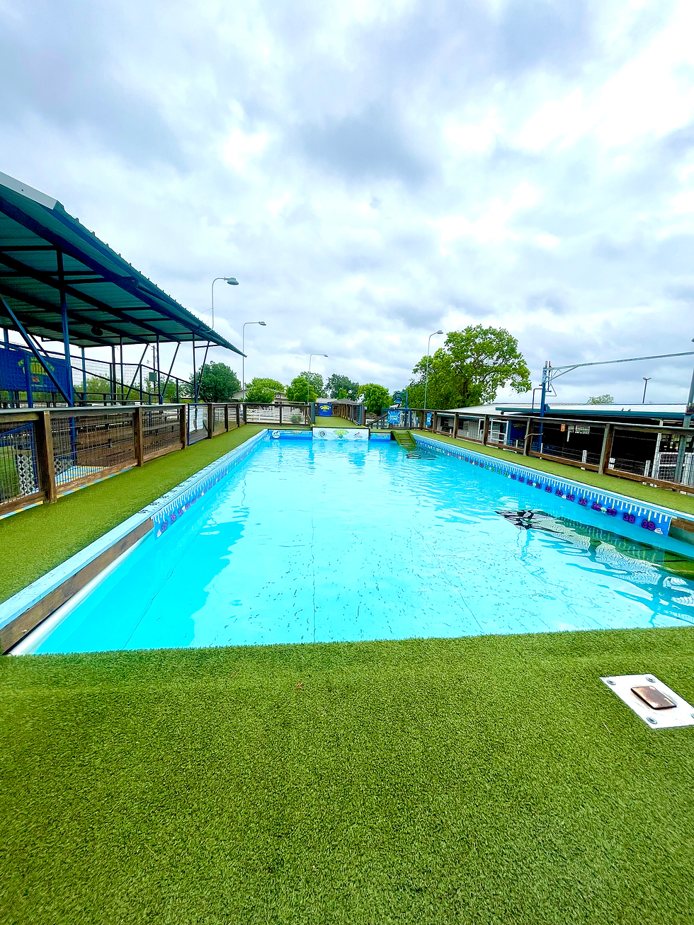 Outdoor swimming pool with bright blue water, bordered by green artificial grass. Overcast sky and trees are visible in the background.