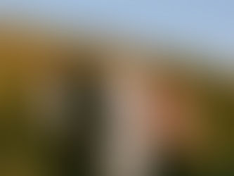 Getting 'Back To the Radio', Where Porridge Radio Should Be