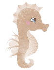 IMG_5417.PNG