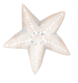 IMG_5423.PNG