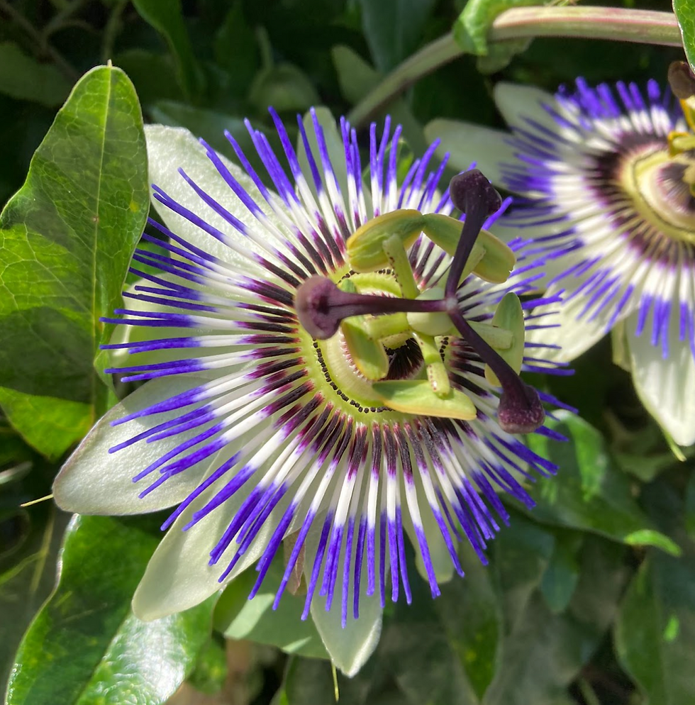 “I feel lighter.” 💡