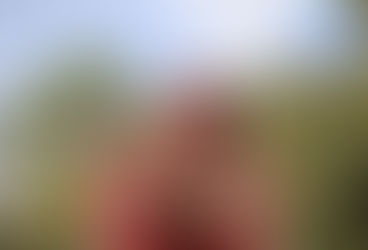 semanas quatorze e quinze em Lisboa, Portugal