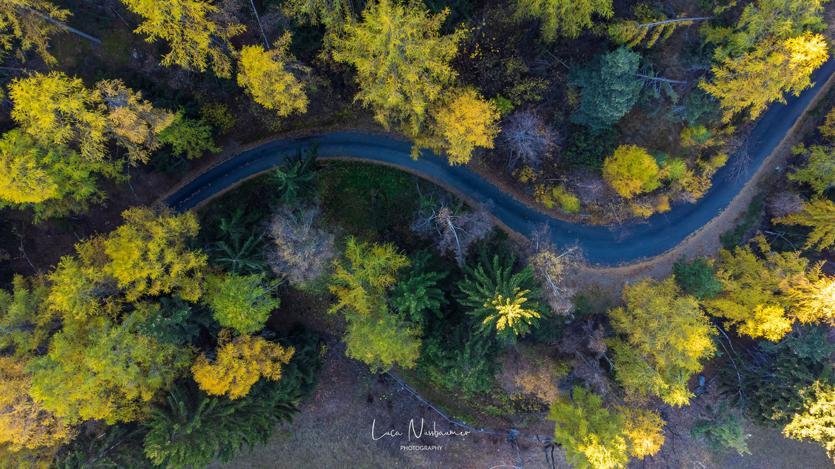 DJI_0077.JPG