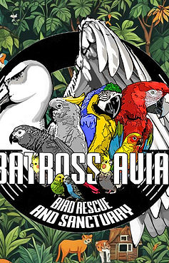 Albatross Aviary Logo.jpg