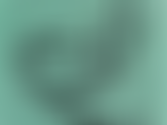 Area COVID-19 Update 12.28.21