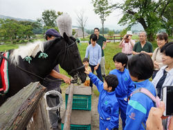 馬とのふれあい