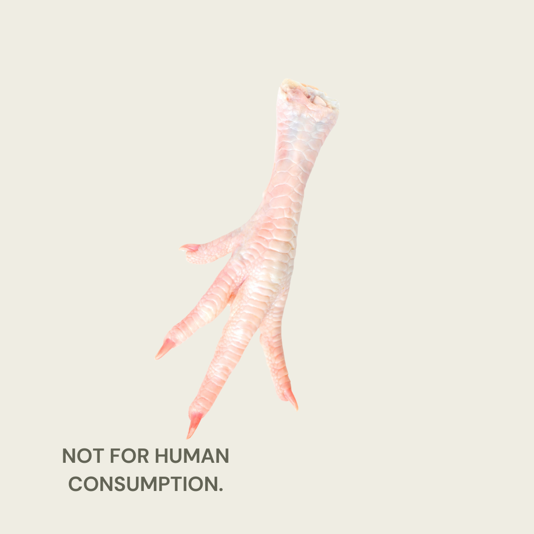 Dog Treats (Heads and Feet)