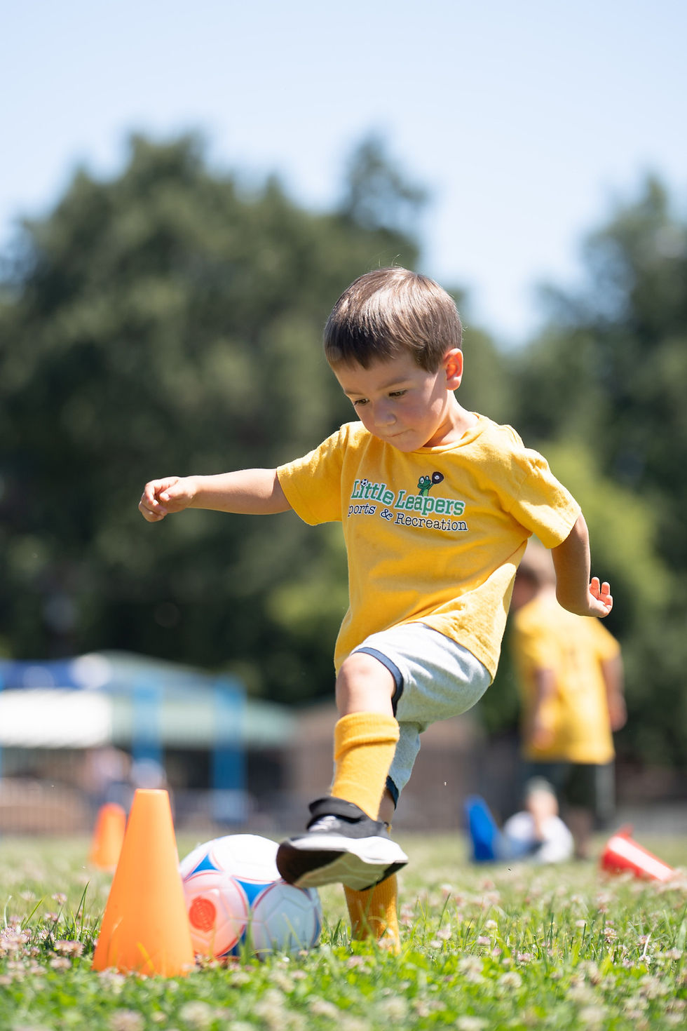 489461234_1576921013257744_6631842729220653768_n