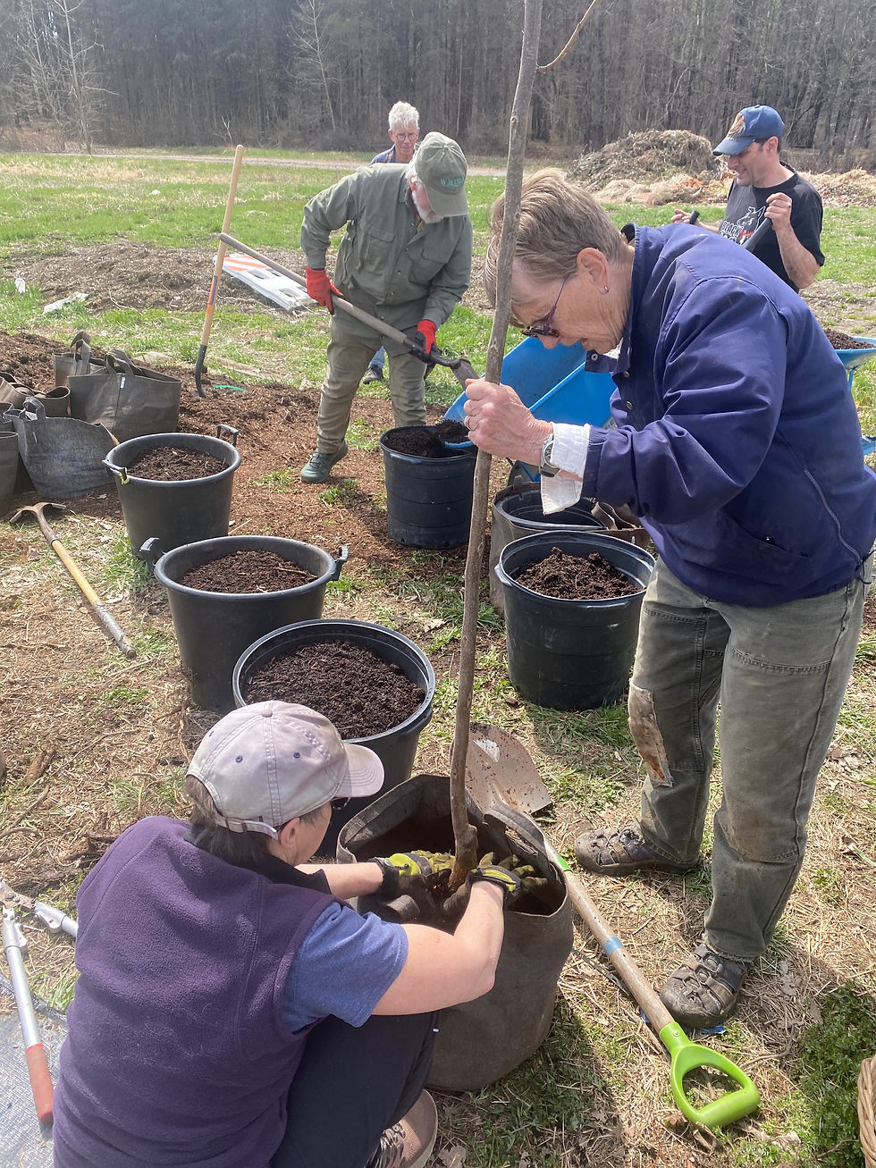 GTC_nurseryplant_2025